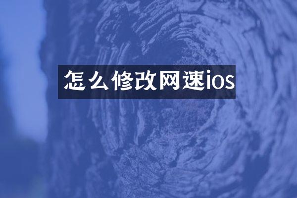 怎么修改网速ios