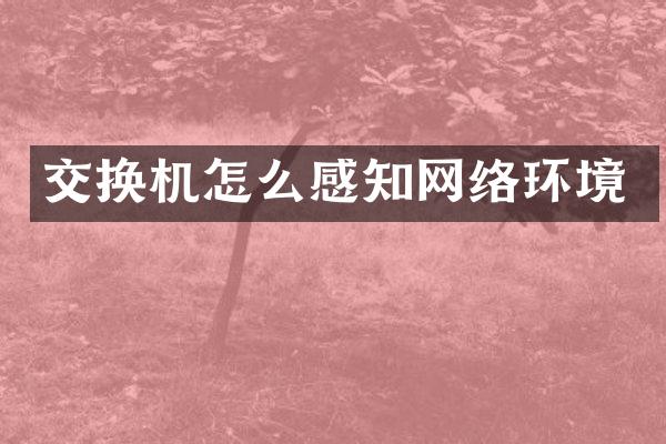 交换机怎么感知网络环境