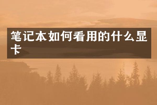 笔记本如何看用的什么显卡