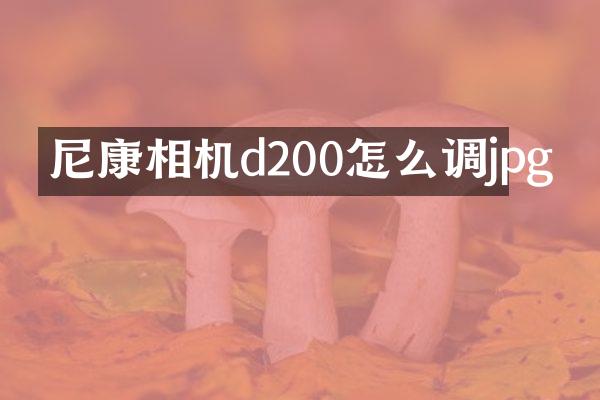 尼康相机d200怎么调jpg