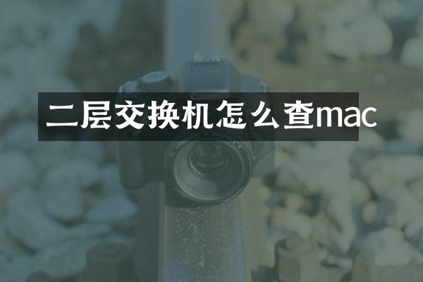 二层交换机怎么查mac