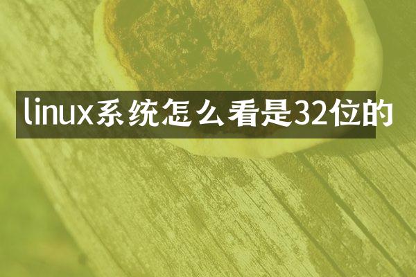 linux系统怎么看是32位的