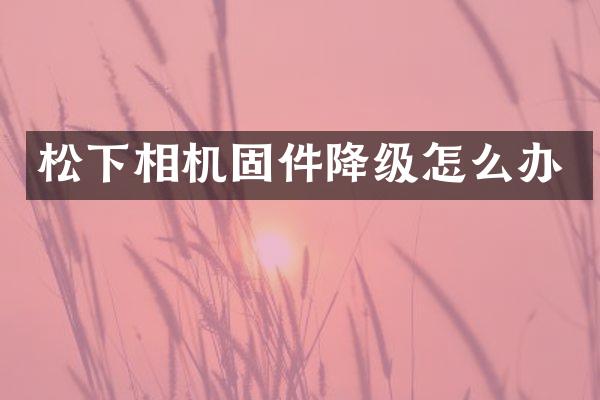 相机固件降级怎么办
