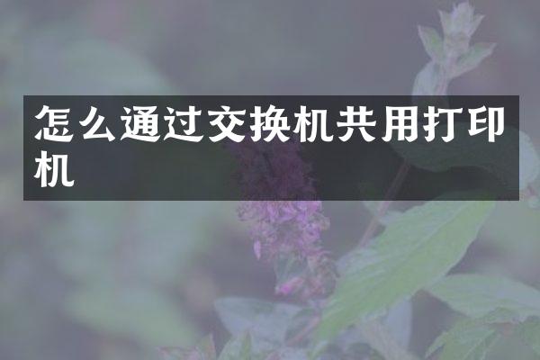 怎么通过交换机共用打印机
