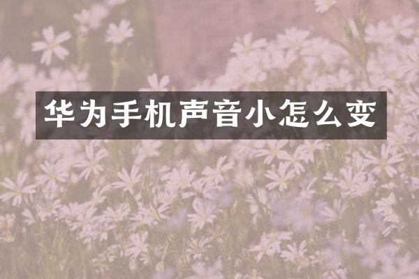 华为手机声音小怎么变
