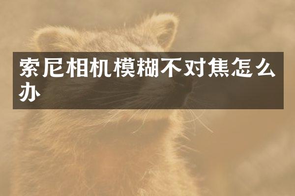 相机模糊不对焦怎么办