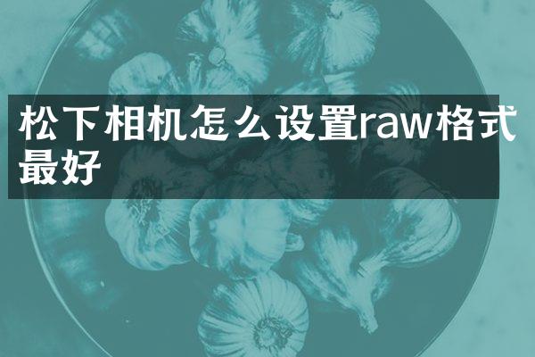 相机怎么设置raw格式最好