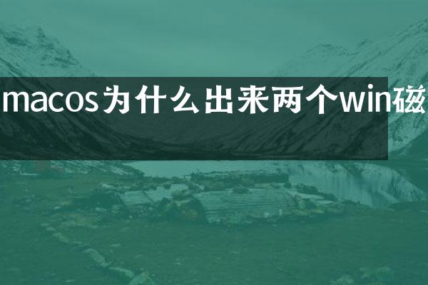 macos为什么出来两个win磁盘