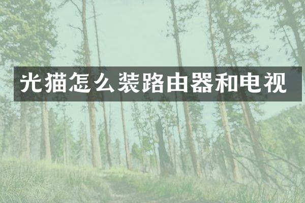 光猫怎么装路由器和电视