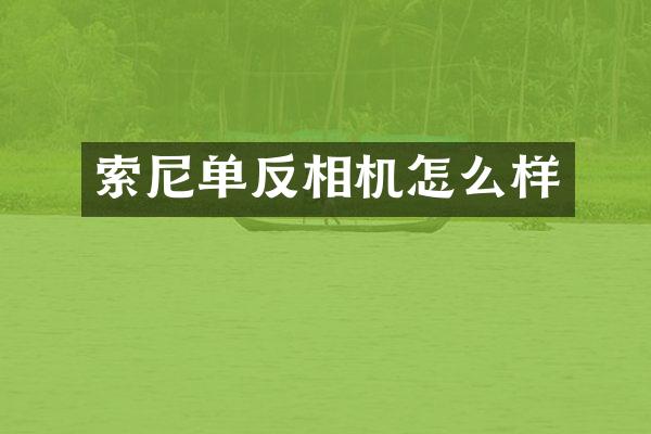 单反相机怎么样