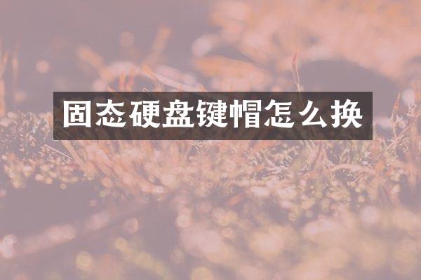 固态硬盘键帽怎么换