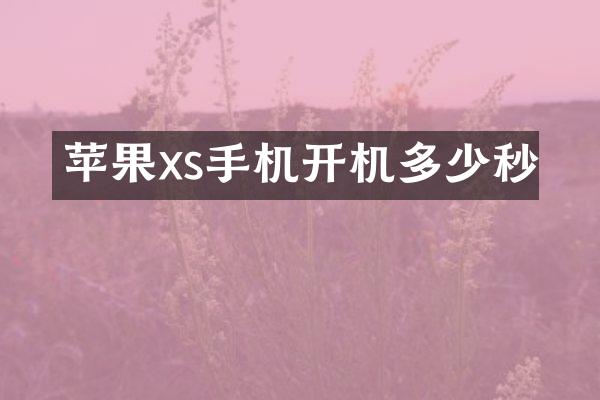 苹果xs手机开机多少秒