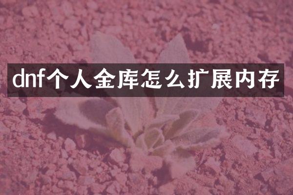 dnf个人金库怎么扩展内存