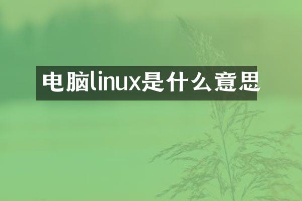 电脑linux是什么意思