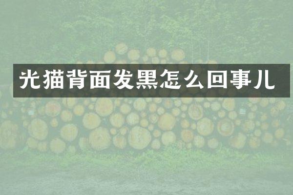 光猫背面发黑怎么回事儿