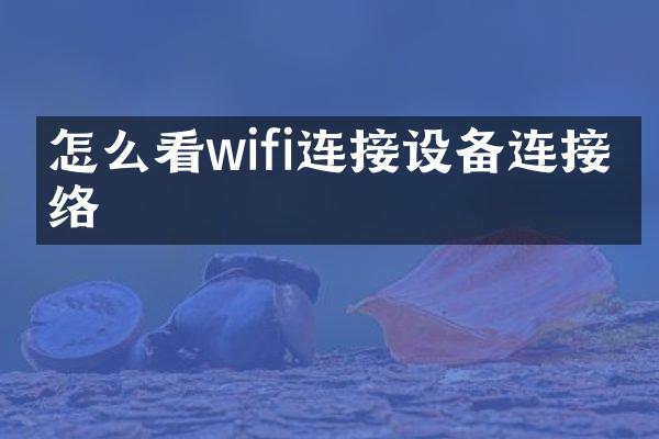 怎么看wifi连接设备连接网络