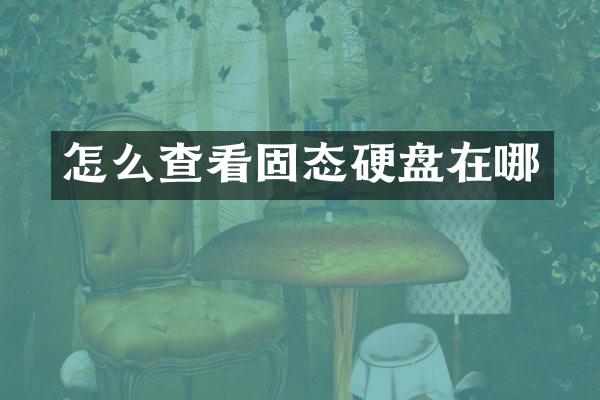 怎么查看固态硬盘在哪