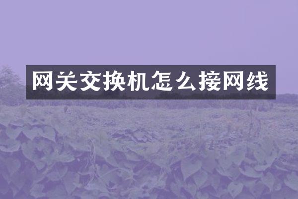 网关交换机怎么接网线