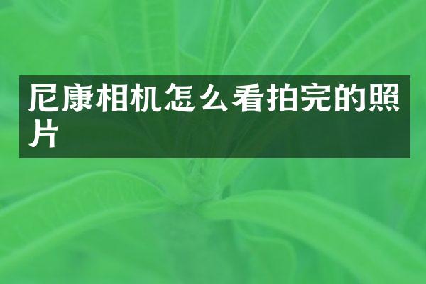 尼康相机怎么看拍完的照片