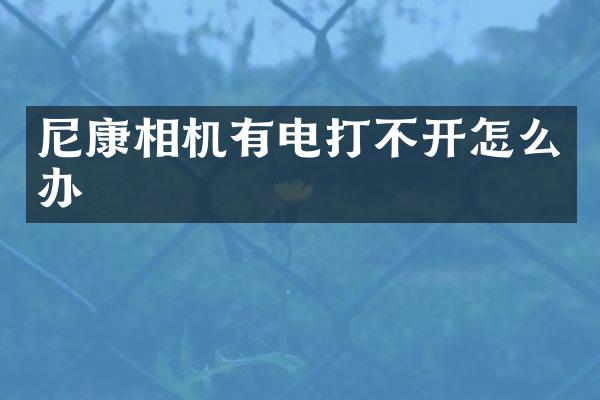 尼康相机有电打不开怎么办