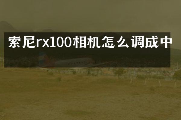 rx100相机怎么调成中文
