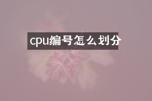 cpu编号怎么划分
