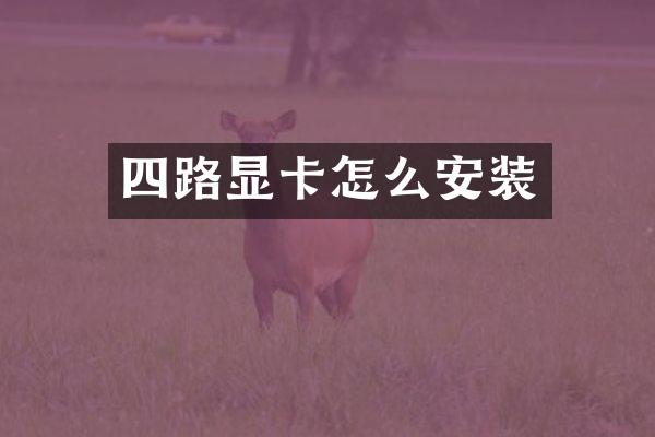 四路显卡怎么安装