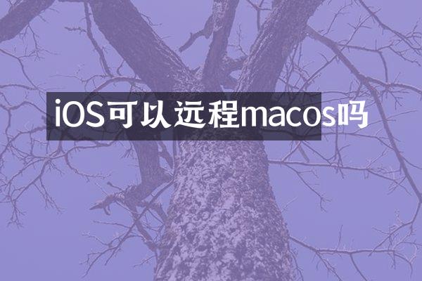 iOS可以远程macos吗