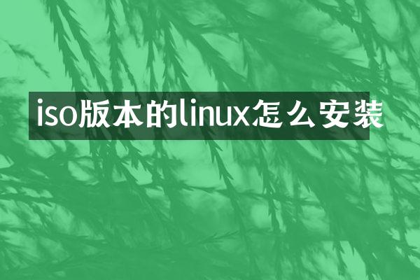 iso版本的linux怎么安装