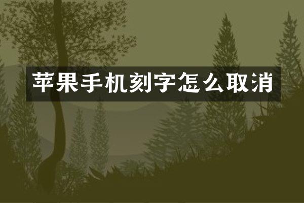 苹果手机刻字怎么取消