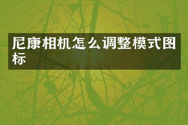 尼康相机怎么调整模式图标