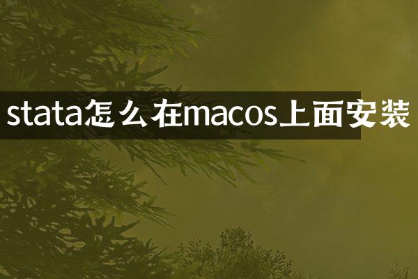 stata怎么在macos上面安装