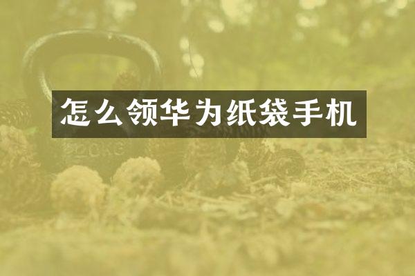 怎么领华为纸袋手机
