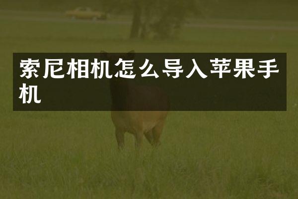 相机怎么导入苹果手机