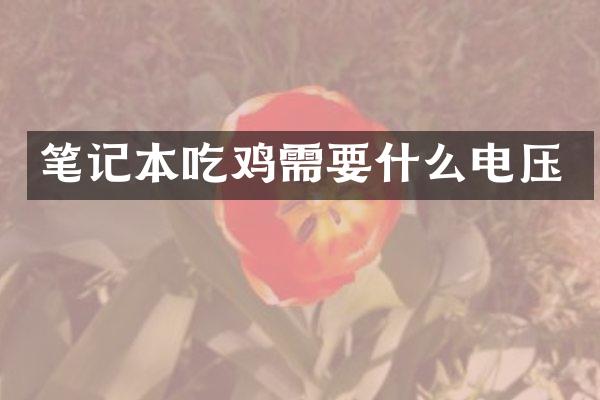 笔记本吃鸡需要什么电压