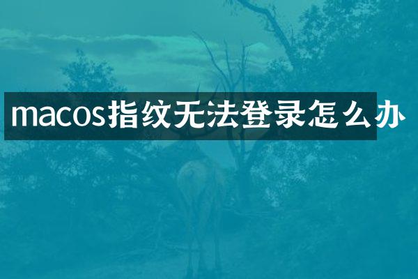 macos指纹无法登录怎么办