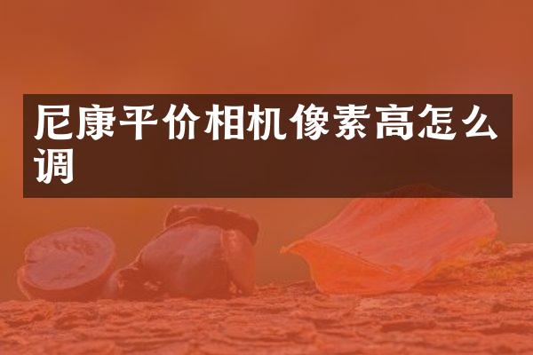 尼康平价相机像素高怎么调