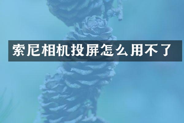相机投屏怎么用不了