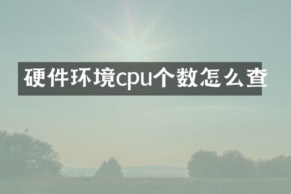 硬件环境cpu个数怎么查