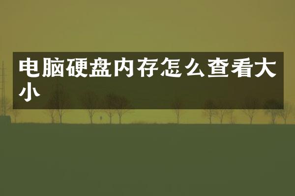 电脑硬盘内存怎么查看大小