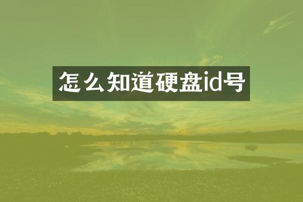 怎么知道硬盘id号