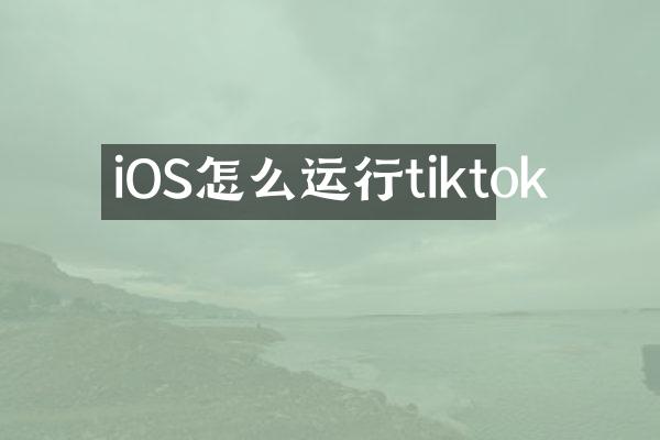 iOS怎么运行tiktok