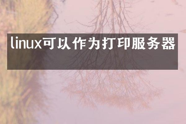 linux可以作为打印服务器吗