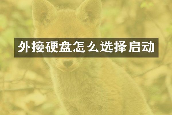 外接硬盘怎么选择启动