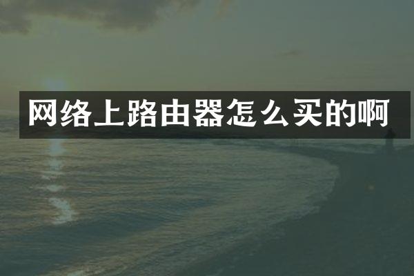 网络上路由器怎么买的啊