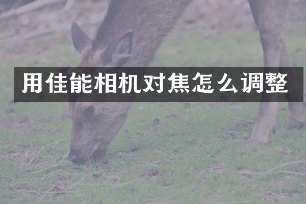用佳能相机对焦怎么调整