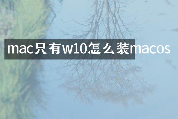 mac只有w10怎么装macos