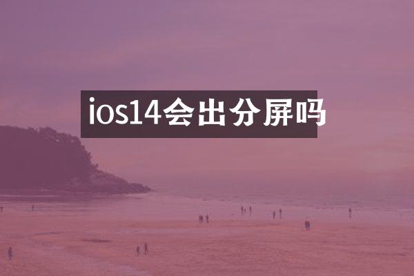 ios14会出分屏吗