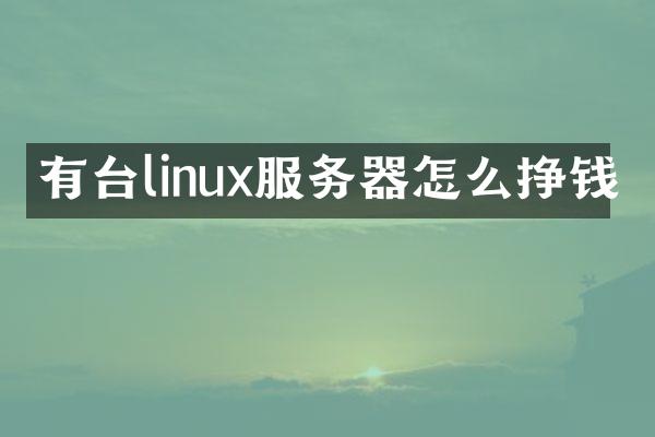有台linux服务器怎么挣钱