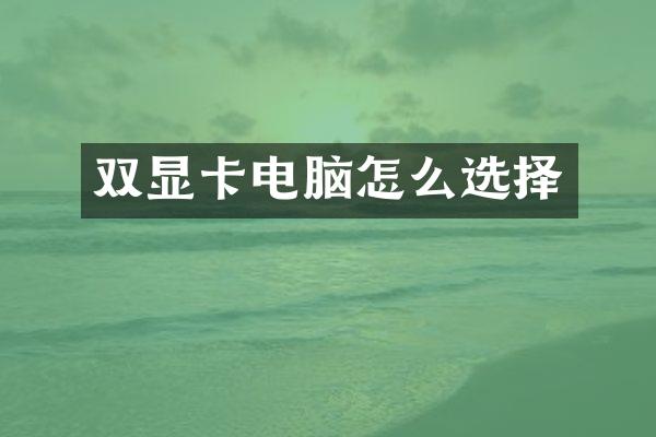 双显卡电脑怎么选择